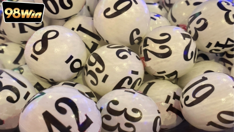 Nuôi Đề Khung 3 Ngày - Chia Sẻ Kinh Nghiệm Thành Công 6 Hướng dẫn cách nuôi đề khung 3 ngày đơn giản, dễ áp dụng